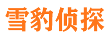 咸阳外遇出轨调查取证